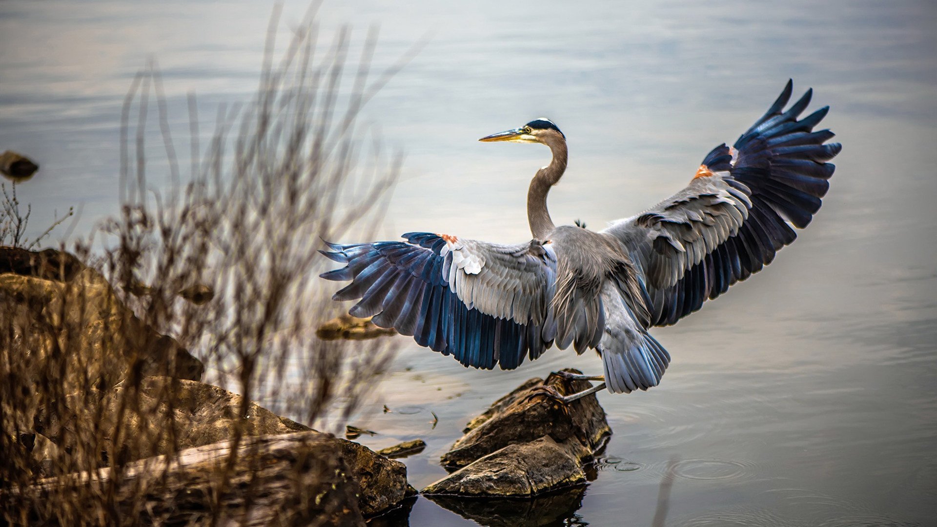 开云体育官网-疾风怒涛！贝蒂斯战术强压封锁秘鲁，迪亚斯化身高能核心全程主导战局