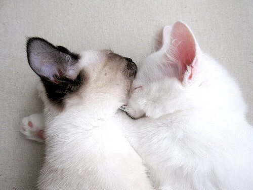 开云体育入口-全程高能，拉梅洛的黑客帝国之夜