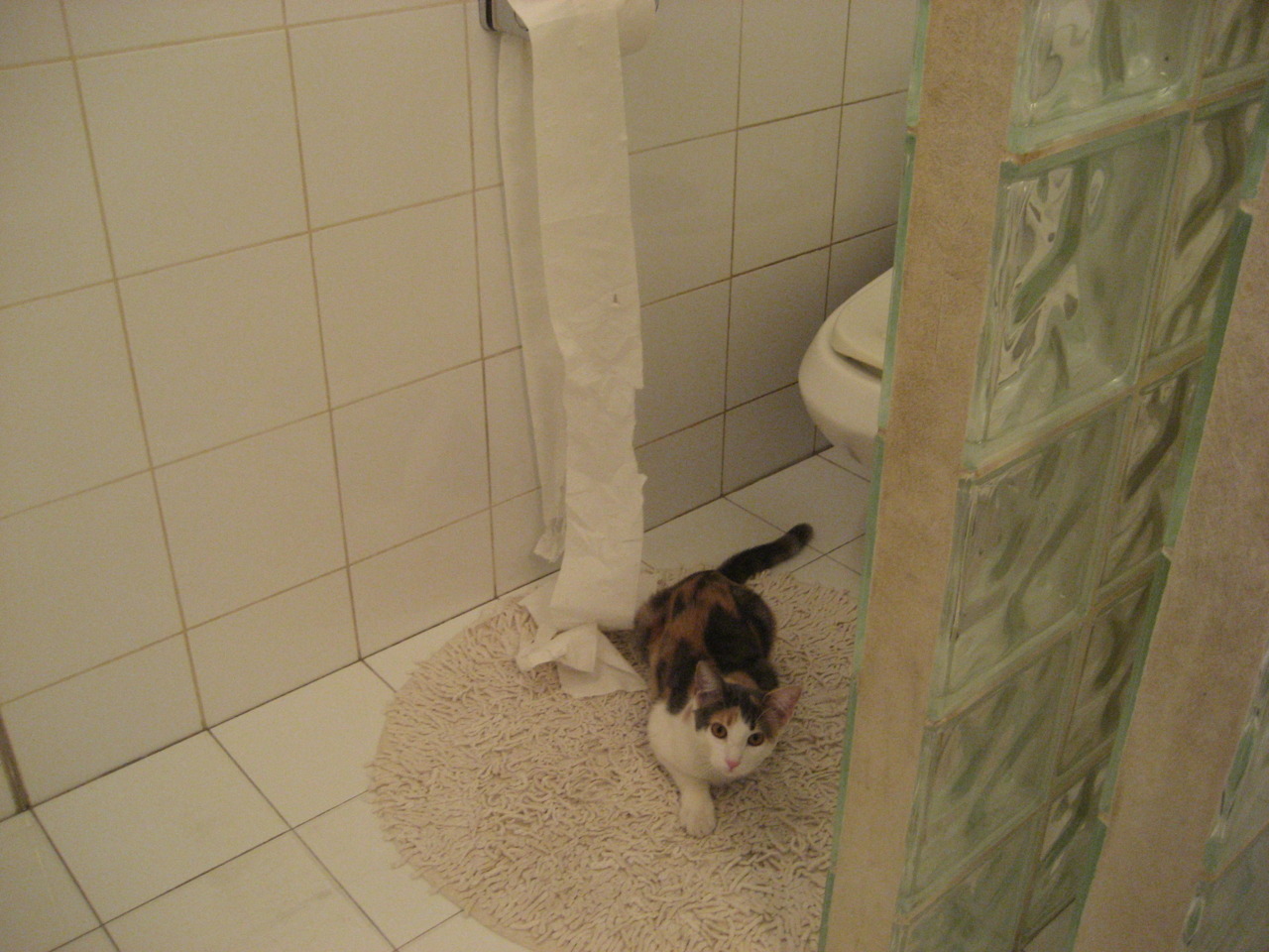 跨联赛奇迹夜，伦纳德梦幻爆发，北京队东方战术完美压制老鹰