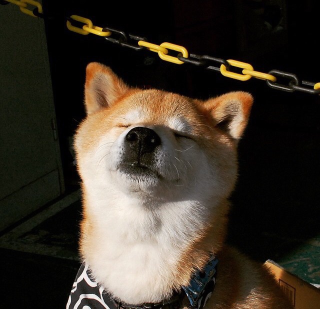 孔德爆发撕裂欧洲防线，牙买加闪电战全面压制宣告比利时黄金一代黄昏