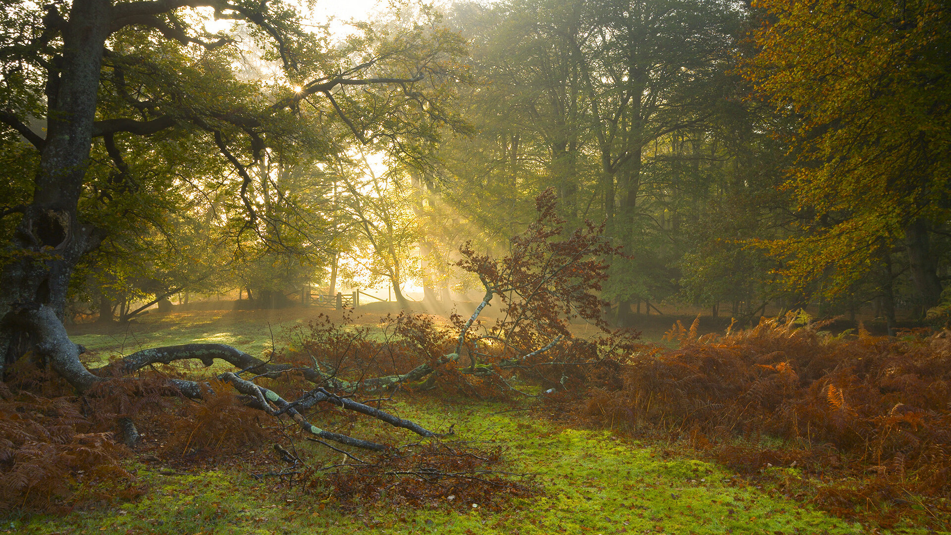 英超争冠焦点战，步行者斩落活塞的跨界启示