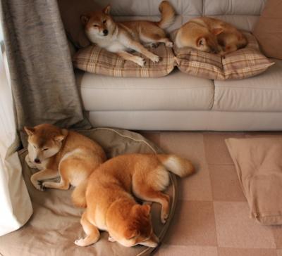 开云体育在线-未拿一次投篮的关键先生，戈贝尔如何用不存在的攻击证明篮球的另一种赢法