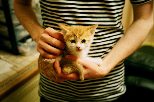 绿茵博弈场,从佩德里的手术刀到多特蒙德的战术铁幕