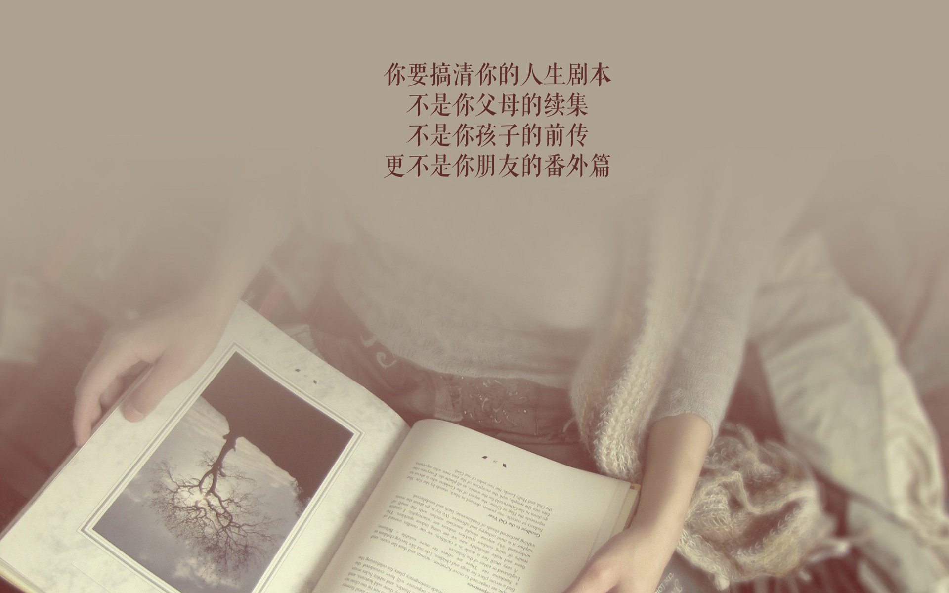 开云体育2026-2026世界杯生死战，哈基米独舞之夜，墨西哥铁血复仇瑞典，唯此一战铸就足坛传奇