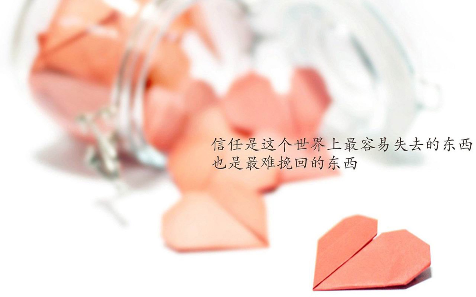 十六年后，亚洲铁壁崩于虎啸，2026世界杯C组焦点战，加维的血色十分钟与阿根廷的绝杀重生